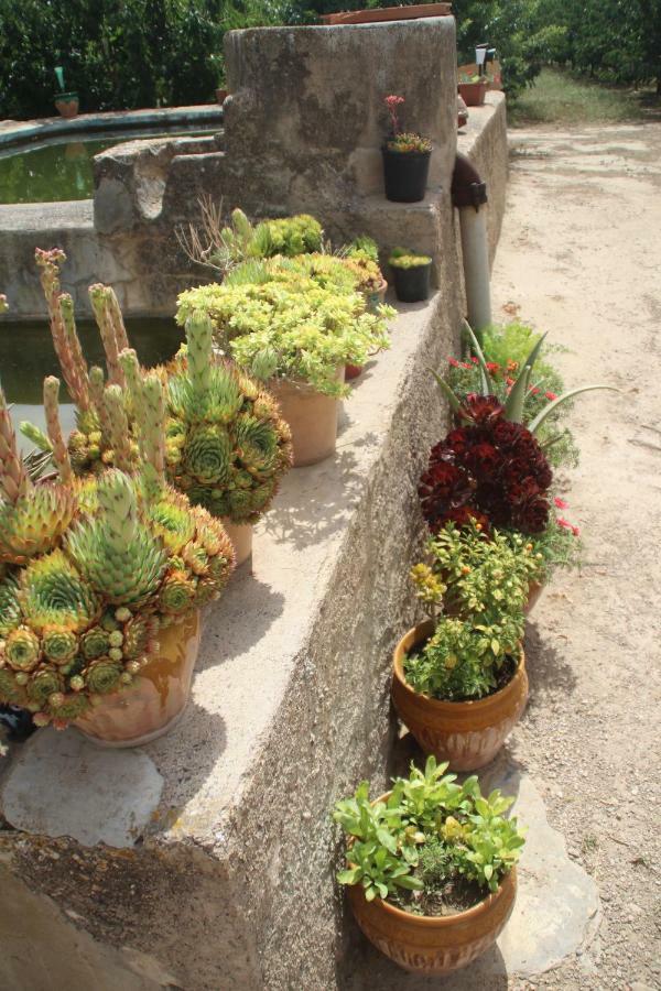 Masia Rural L'Hort De Maso Miravet Kültér fotó